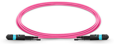 Why are MTP/MPO patch cords widely used?